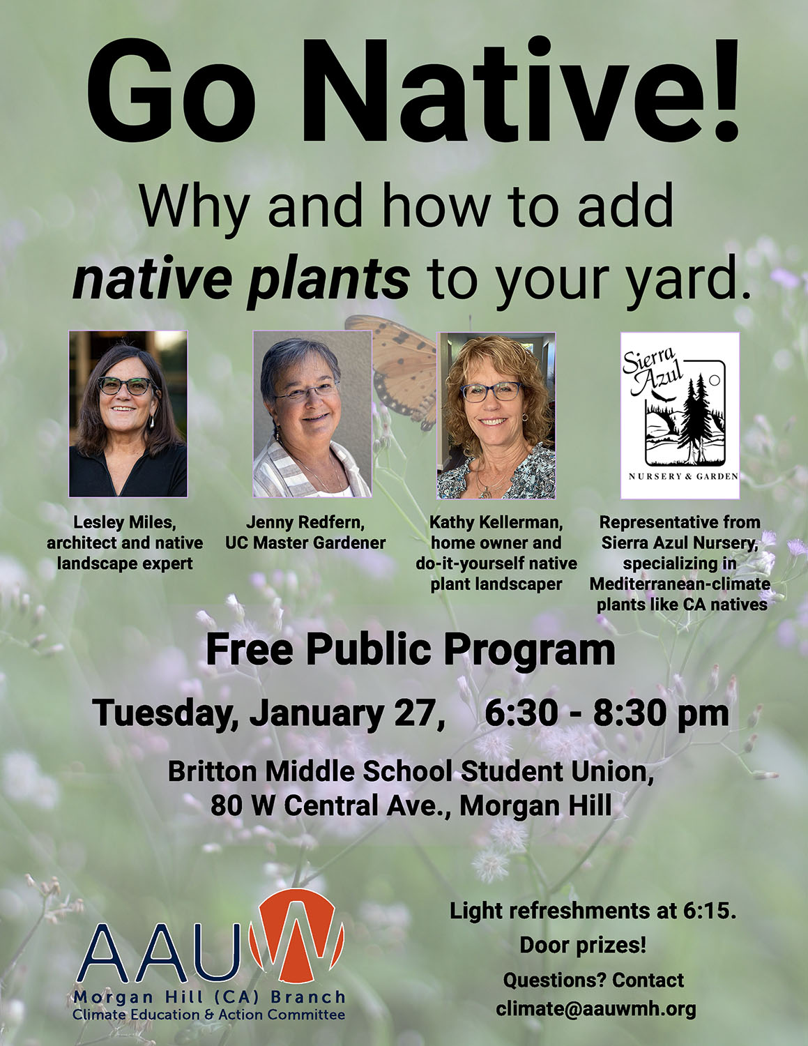 2025-01_go-native_web