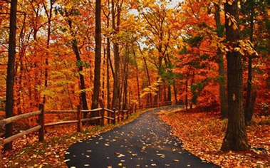 Fall Road